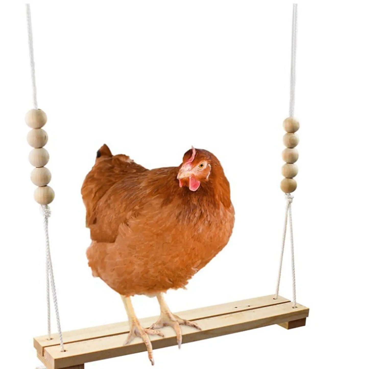 Chicken Swing